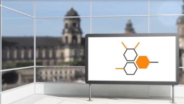 OK Coaching | Intellektus Frequenz Zielorientierung